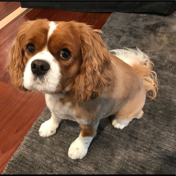 Hello from sunny LA! I’m Liora. - Picture 11 of 11